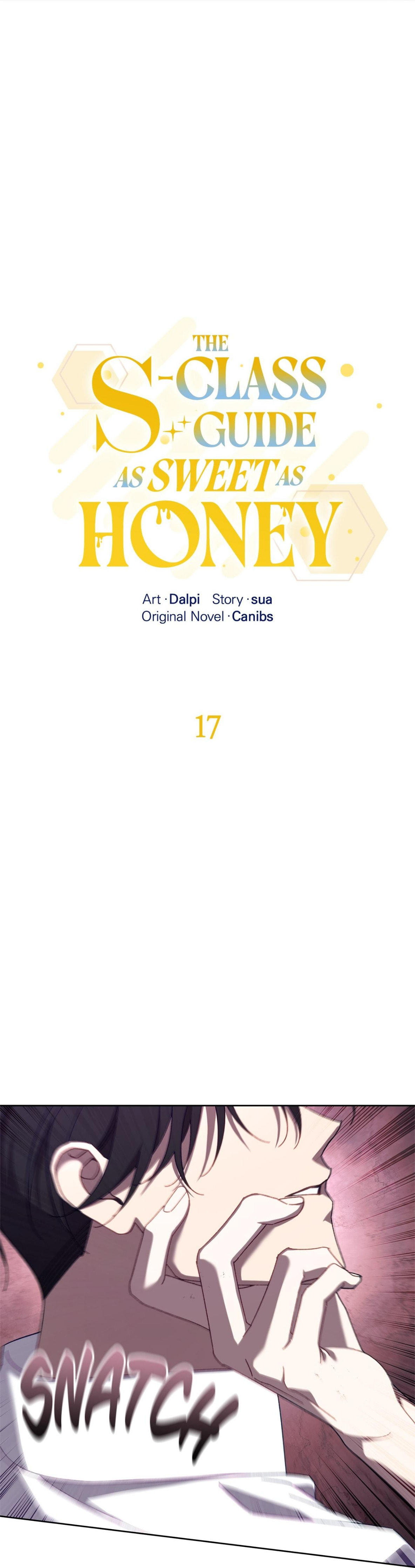 Honey Coated S Class Guide – Chapter 17 page 4
